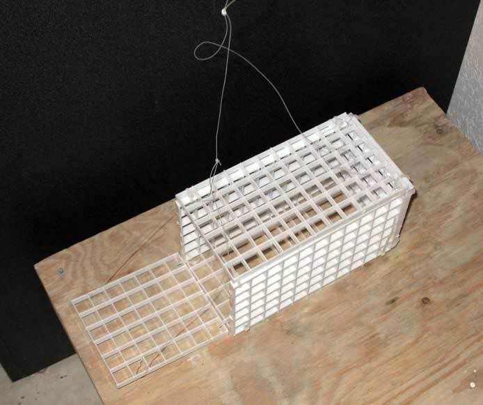 Homemade fish trap??? Reef Central Online Community